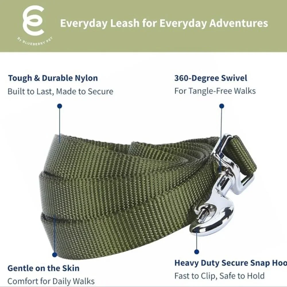 Blueberry Pet Essentials Small Dog Leash 5' x 5/8